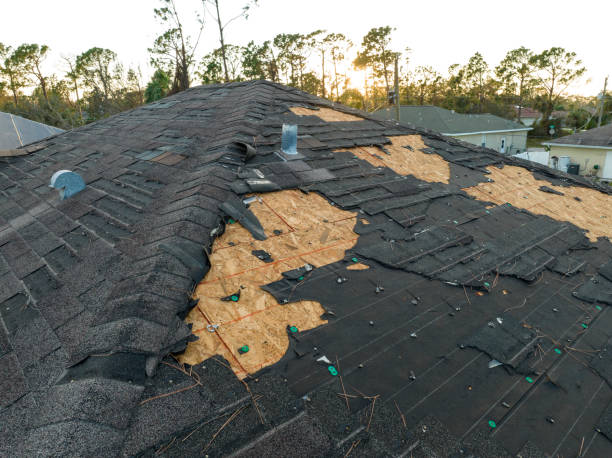 Best Roof Waterproofing  in Waretown, NJ